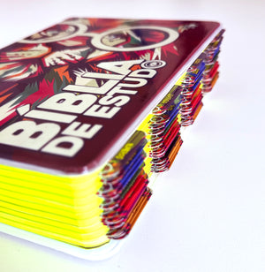 KIT BÍBLIA DE ESTUDO + ABAS – O MUNDO DE OTÁVIO